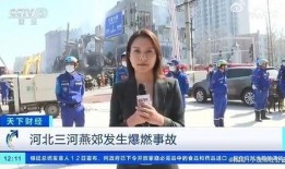 记者拆包爆料案例视频,视频背后的真相与挑战