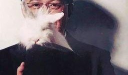 卓伟最新爆料曝光新闻视频,独家揭秘新闻视频背后的惊人真相